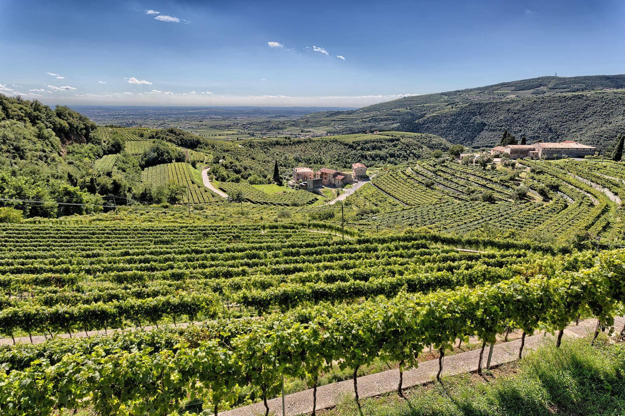 Valpolicella International 3* San Pietro In Cariano